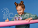 LEGO Friends - Stephaniin baletní boxík