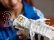 LEGO Icons - adidas Originals Superstar