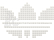 LEGO Icons - adidas Originals Superstar