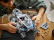 LEGO Star Wars - Juggernaut Republiky