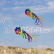 Létající drak Soft Swirl Rainbow 300 - Dragon Tail