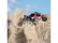 RC auto Losi Desert Buggy XL-E 2.0 1:5 4WD RTR, Losi