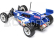 RC auto Losi Mini JRX2 1:16 RTR, modrá