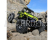 Losi Night Crawler SE 1:10 4WD modrá