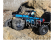 Losi Night Crawler SE 1:10 4WD modrá