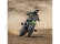 Losi Promoto-MX Motorcycle 1:4 RTR, Pro Circuit