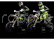 Losi Promoto-SM 1:4 RTR Basic FXR
