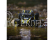 Losi Rock Rey Rock Racer 1:10 4WD AVC RTR žlutý