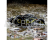 Losi Rock Rey Rock Racer 1:10 4WD AVC RTR žlutý