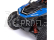 RC auto Losi RZR Rey 1:10 4WD RTR Polaris