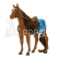 Lottie Velšský horský pony Sirius