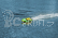 LRP Deep Blue 340 2,4 High-Speed Racing loď RTR - žluto/zelená
