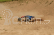 LRP S10 Blast 2 TX RTR - 1/10 Truggy s 2,4GHz RC soupravou
