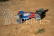 RC auto LRP S10 Twister Buggy