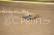RC auto LRP S8 Rebel BXe