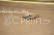 RC auto LRP S8 Rebel BXe