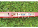 RC letadlo Milan 1.94m ARF