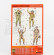 Miniart Figures Soldati - Soldiers Israel Tank Crew Military 1:35 /