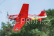 P-51 Dago Red 1100mm ARF