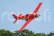 RC letadlo P-51 Dago Red 1100mm ARF