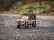 RC auto Land Rover Defender T98 1/12, písková