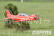 RC letadlo PC-21 1100mm ARF