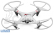 RC dron Rayline R806