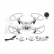 RC dron Rayline R806