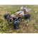 RC auto buggy BL06 brushless