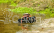 RC auto Carson Sea Racer
