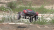 RC auto Fighter-1 Short Course Truck