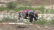 RC auto Fighter-1 Short Course Truck, modrá