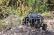 RC auto Hot crawler 4x4