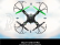 RC dron LH-X14HWF
