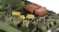 RC tank SHERMAN M4A3 1:16, BB IR 