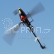 RC vrtulník Blade 500 3D, mód 2