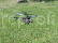 RC vrtulník DF-180