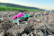 RC vrtulník M2 V3 Pro, zelená
