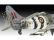 Revell Hawker Tempest V (1:32)