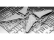 Revell Horten Go229 A-1 (1:48)