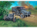 Revell Krupp Protze KFZ 69 with 3,7cm Pak (1:76)