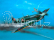 Revell Supermarine Spitfire Mk.V (1:72)