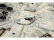 Revell SW - Millennium Falcon (1:72)