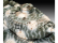 Revell T34-85 (1:35)