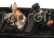 Rio-models Mercedes benz 770k Limousine Monaco 1938 With Figures Adolf Hitler - Eva Braun - Exclusive Carmodel 1:43 Black