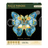 RoboTime Dřevěné puzzle Motýl Morpho Helena