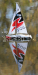 RC plachetnice SOIL MICRO SAIL YACHT, RTR