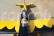 RC letadlo Space Walker II 2,1m „Revolution“