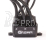 Spektrum regulátor střídavý Smart Firma 100A Black Edition 2-3S