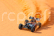 RC auto SYNCRO - BUGGY 2WD 3-4S - RTR, modrá